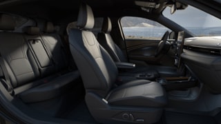 2025 Ford Mustang Mach-E® Internal Image 1